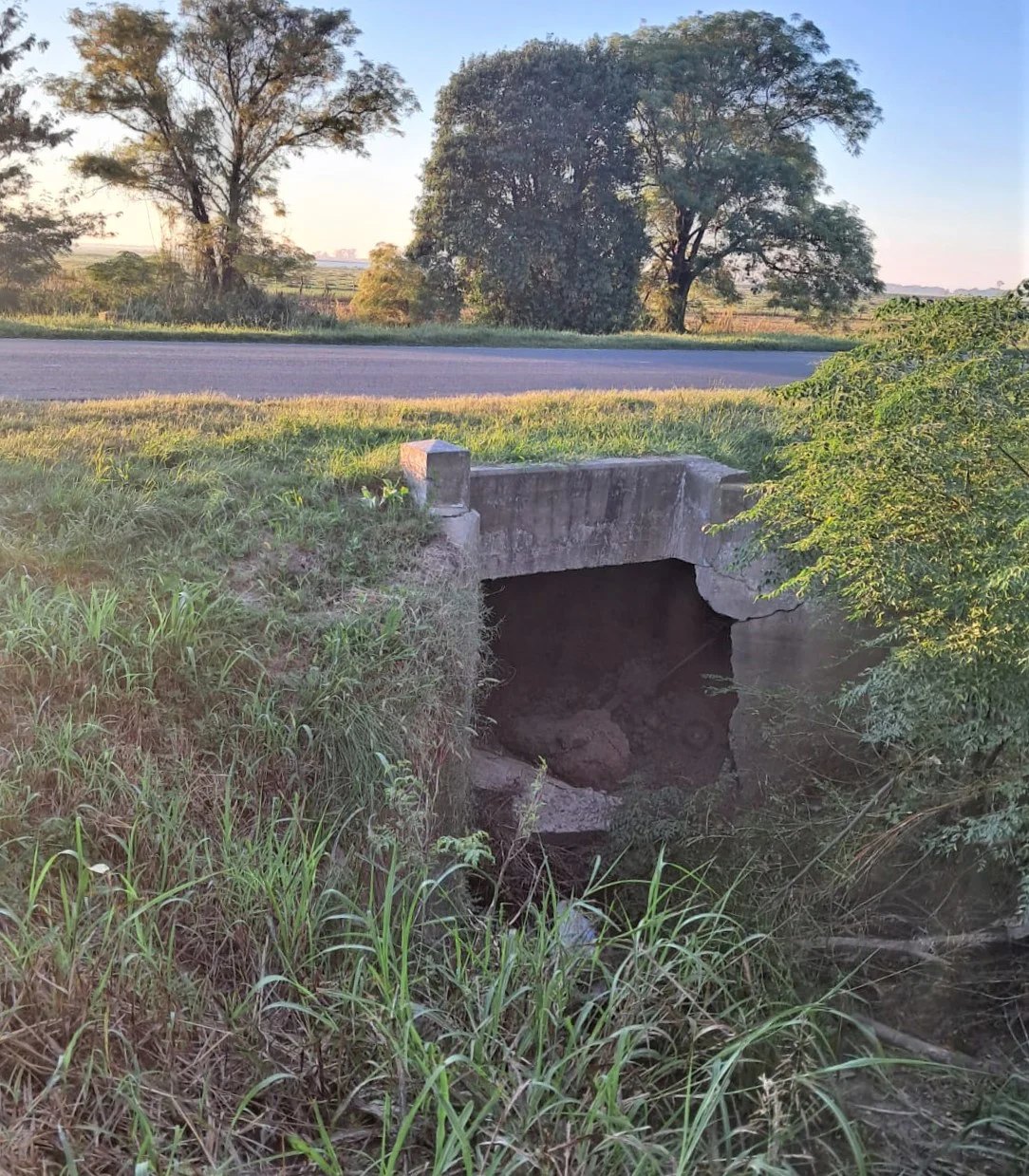 WhatsApp Image 2026-03-31 at 4.10.56 PM