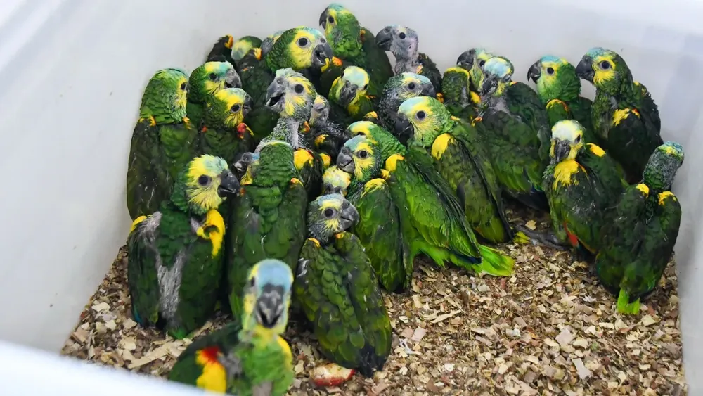 WhatsApp Image 2026-02-17 at 8.55.48 AM (1)