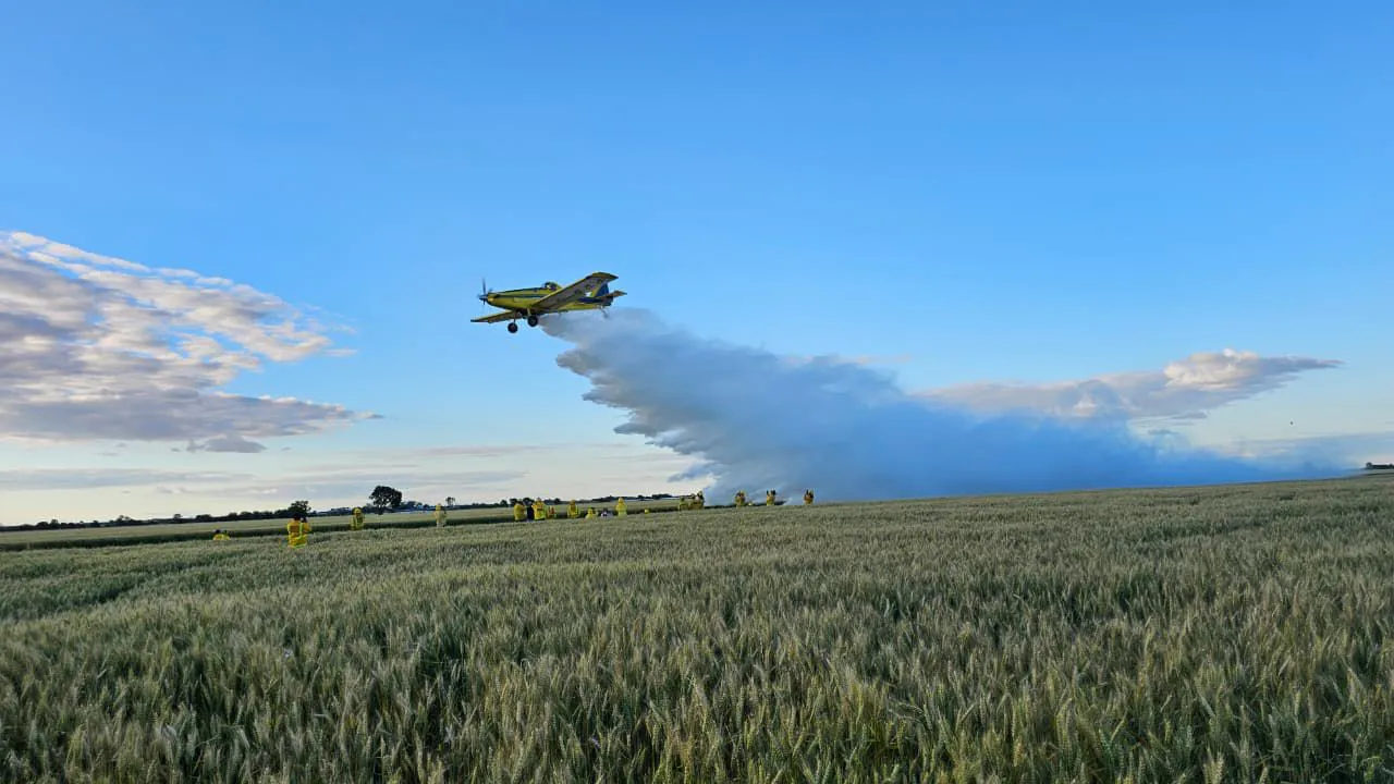 WhatsApp Image 2026-01-17 at 9.04.39 AM (1)