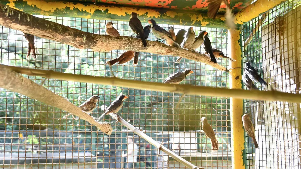 WhatsApp Image 2026-02-17 at 8.55.47 AM (2)