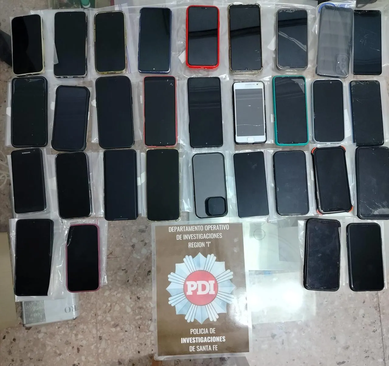 WhatsApp Image 2026-02-13 at 3.22.22 PM