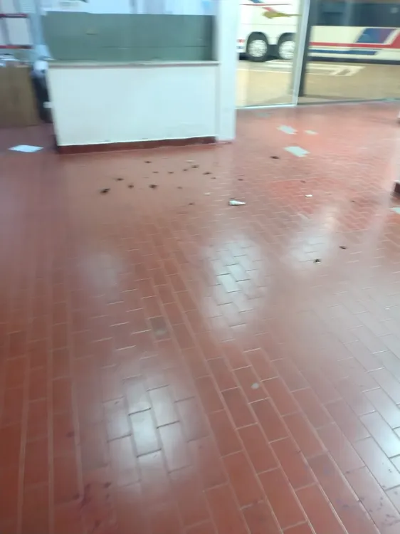 WhatsApp Image 2025-12-20 at 8.26.55 AM (2)