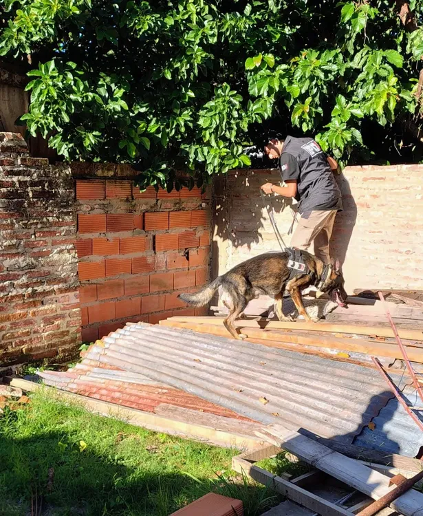 WhatsApp Image 2026-03-14 at 9.27.38 AM (1)