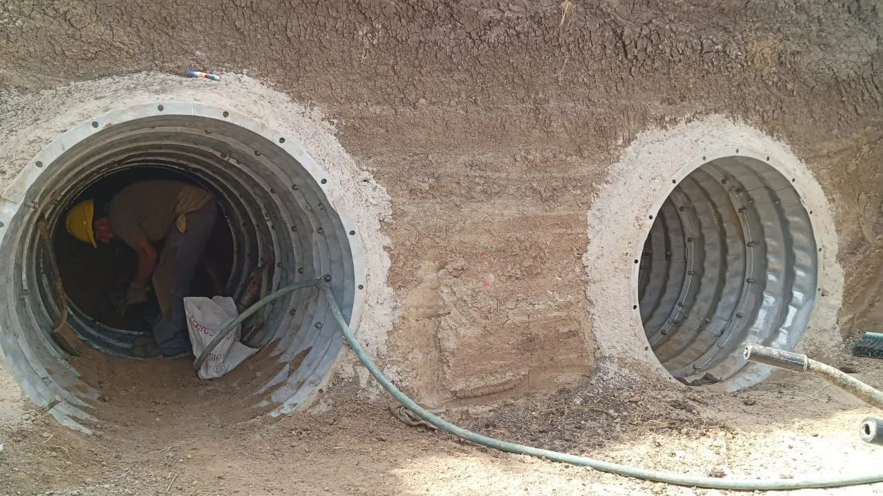 WhatsApp Image 2026-01-10 at 5.23.51 PM (1)