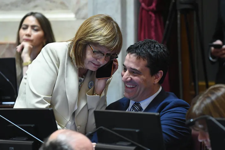 abad-bullrich-senado