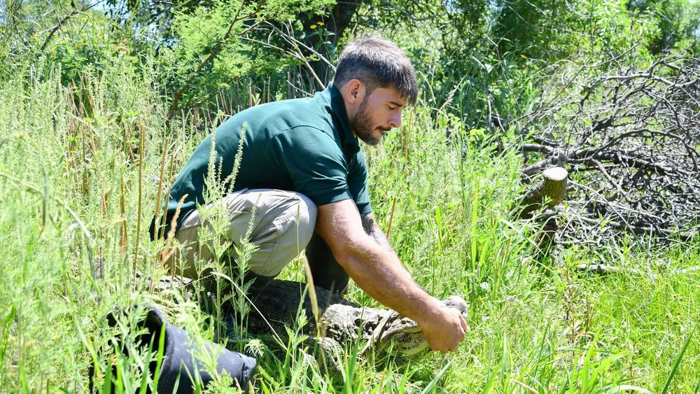 WhatsApp Image 2025-12-28 at 11.21.02 AM (1)