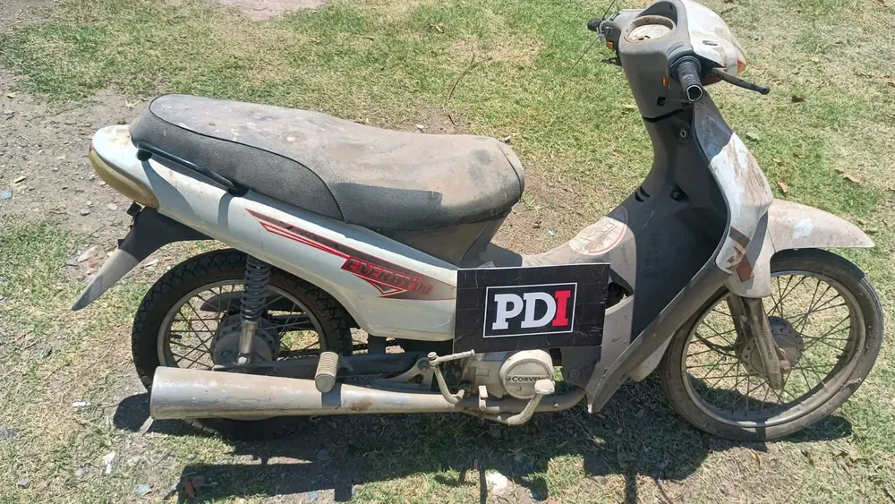 WhatsApp Image 2026-01-12 at 8.10.59 PM (1)