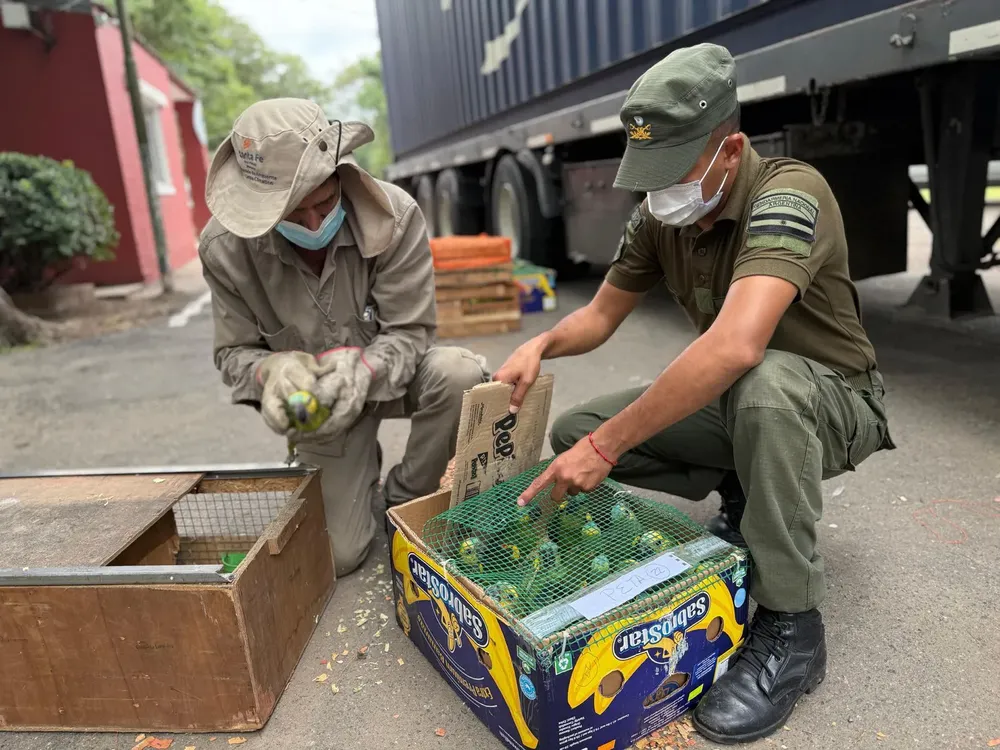 WhatsApp Image 2026-02-17 at 8.55.47 AM