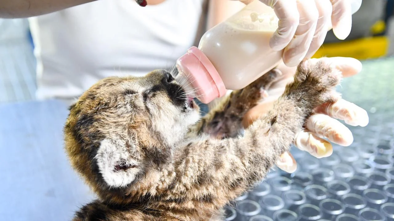 WhatsApp Image 2026-03-28 at 11.00.32 AM (1)