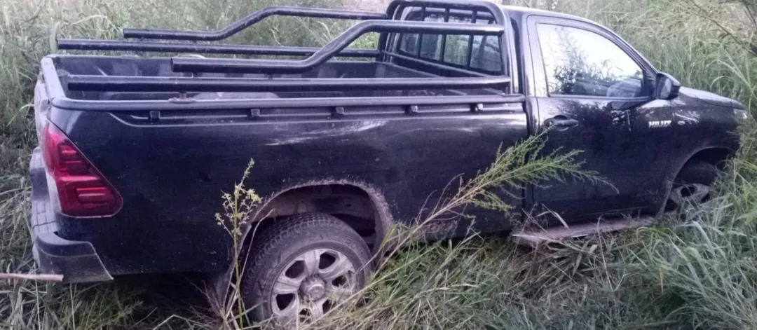 Camioneta Pick Up Toyota Hilux, cabina simple que se encontraba oculta entre las malezas.