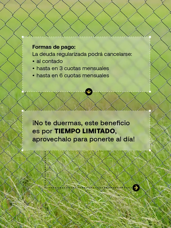 Regimen_Especial_Regularización_de_deuda_sobretasa_lotes_baldíos3