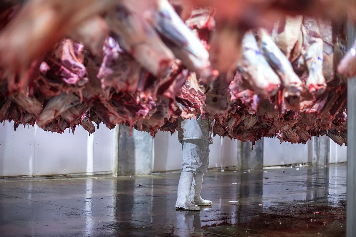 Web_Frigorificos_CARNE_DIEGO-MARTINEZ_033