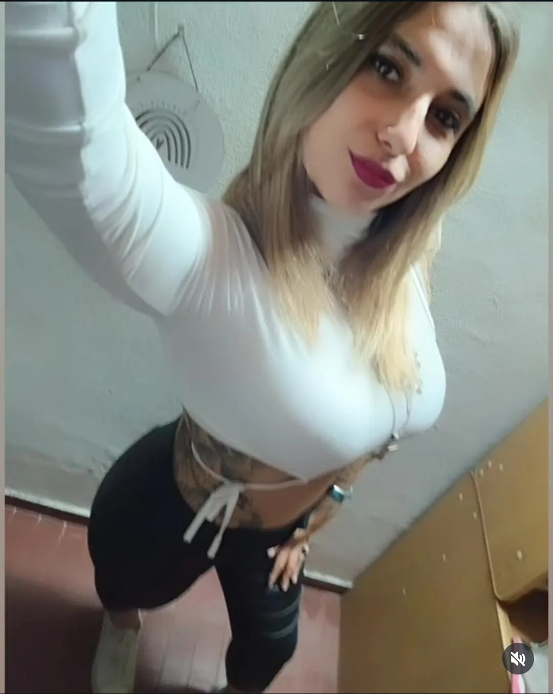 PEDIDO DE PARADERO (1)