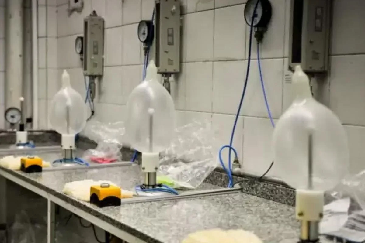 fabrica-tulipan-despide