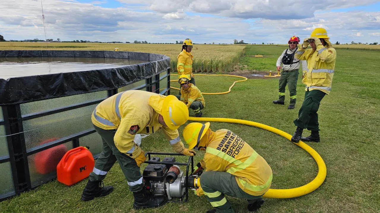 WhatsApp Image 2026-01-17 at 9.04.40 AM (1)