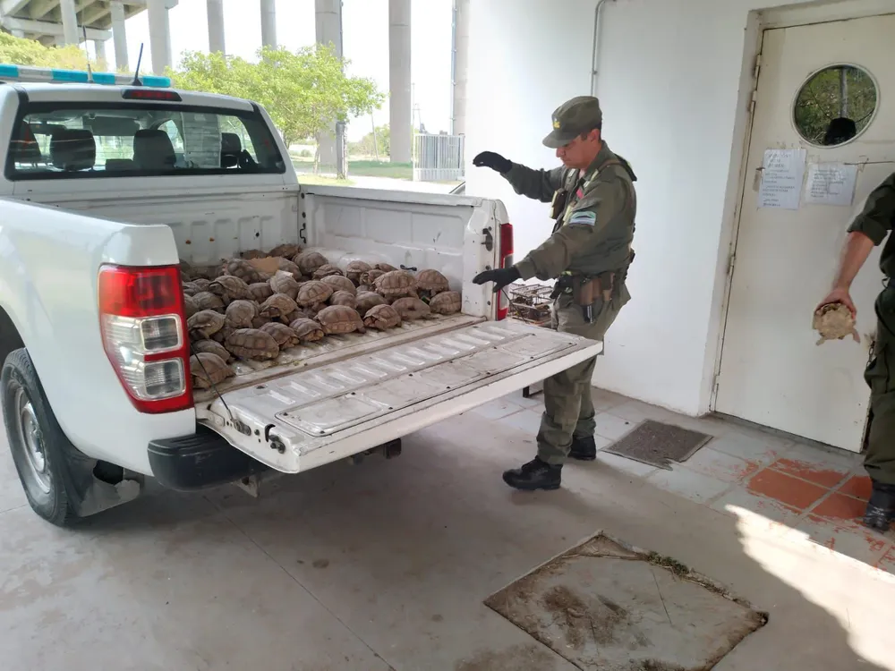 la Provincia registró en el 2025 el rescate de 677 ejemplares de fauna silvestre en 91 actuaciones realizadas